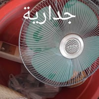 شغالات • ٤ بنات • ديالى خان بني