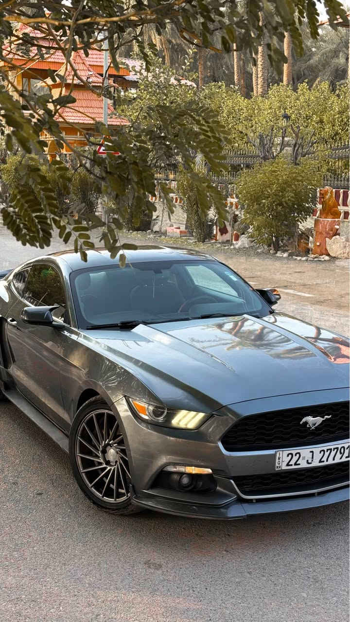 سلام وعليكم
فورد موستنك 2016 لون نفطي لامع *
الفئة V6 ( ستة سلندر) فول مواصفات 

رقم اربيل سنوية جديدة بأسمي .. 
للبيع او مراوسة حسب القناعة ..

ماشية ٧٥ الف
السيارة جديدة كاملة وبدون نقص ( تايرات جدد )
عليهه برمجة وطلقات سيفتي
وعليهه صالنصة HT power واكس بايب وداون بايب محرك وكير واكسل بشرط

مواصفات :
بلاجكتور بلاد
كشن كهرباء
فول تحكمات ستيرن
كامره دوارة
تشغيل عن بعد شفتات ستيرن

اضافات :
بك لايت ٢٠٢٣ سموك
ويالة فوزن
لحية سيرفيني
دعامية خلفية جيتي
سبايدر
سكوبات جانبية
دوسات جيتي
• دفيوزر

السيارة حادثهه بأمريكا خفيفة بدون دواخل و شواصي
وهنا بالعراق مصبوغة خمس قطع اثر شخوط اني ابيعه حزام بدون دواخل ..

مكان السيارة ديالى / خانقين
سعرهه ١٣٤ وبي مجال بسيط ..
للاستفسار   *********** خناقين, ديالى

