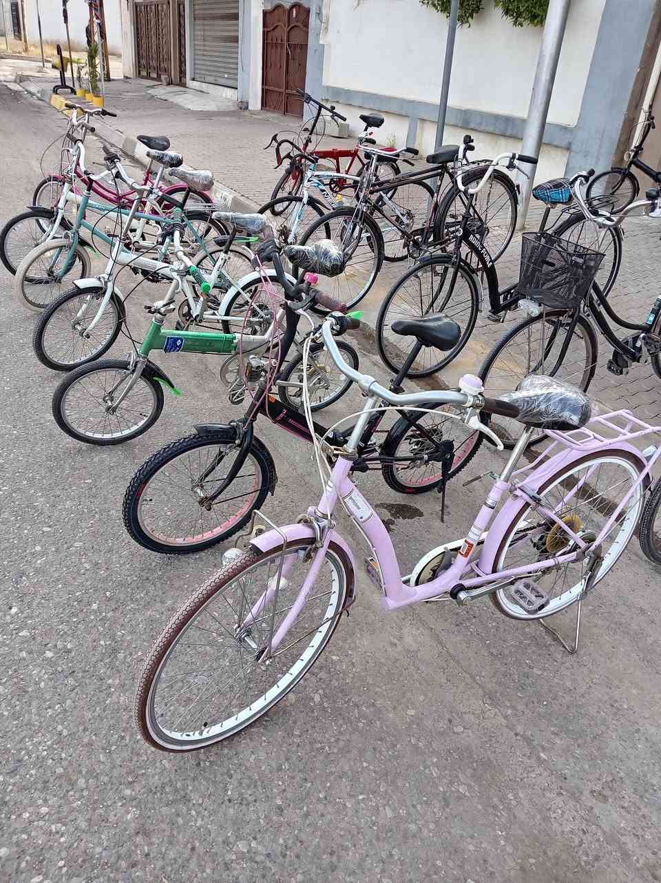 🚲 محل [ابو زياد]
بيع جميع أنواع البايسكلات
والتصليح ومراوسه وشراء 

(أسعار مناسبه) 
 نرحب بالجميع

الرقم ***********
الرقم ***********
