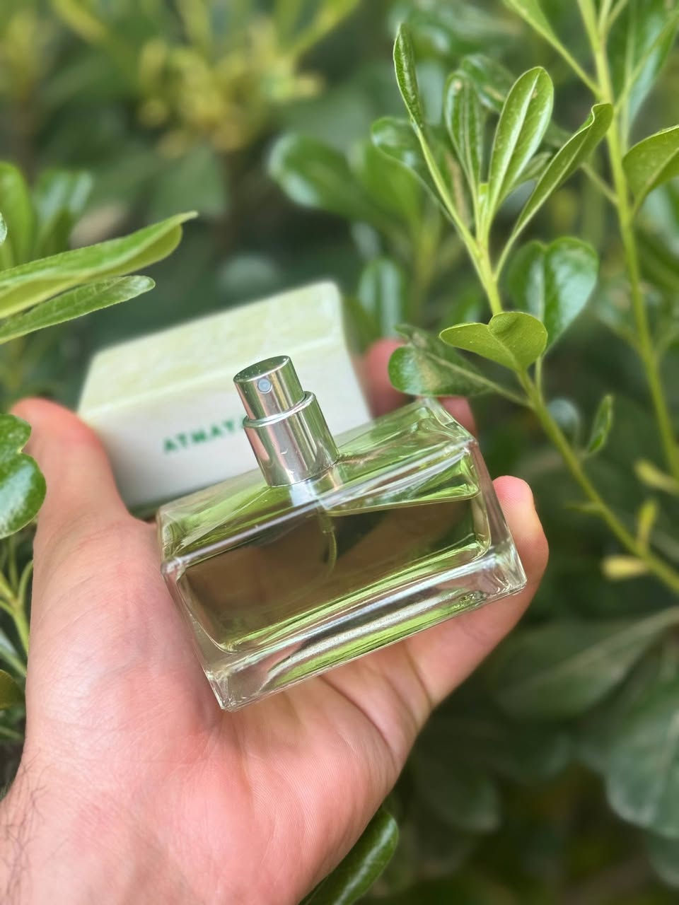 Atmayatra Spiritica
واحد من وحوش فی عالم عطور 
ريحة غريب جدا
عطر ايطالي جميل جدا

تركيز عطر %35
ثبات و فوحان مو طبيعي 

بالنسبة لي:
خلال 1 سنة و 3 اشهر اول مرة شممة عطر و اعجبت به لانة كل غريبب
مو مثل عطور اخر

ريحة عطر:
حشيش والنعناع ر الريحان و عمبر قوي من بداية عطر 
بعدين تغير لريحة كريمي بنكهة عمبر و  فانيلا نع رائحة عشبية 
 
شكل زجاجة جميل جدا مع حجر 
غريب مثل واضح في فيديو

متوفر بلاقسيم
3مل
12،000

5مل 
20،000

10مل
40،000


**إذا كنت صاحب هذا الإعلان وتريد حذفه لأي سبب، رجاءا أرسل رسالة إلى الدعم الفني**