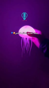 عروض عروض رأس السنه 😍  الاستخدامات  إضاءة ليلية مريحة لغرف النوم وغرف ...