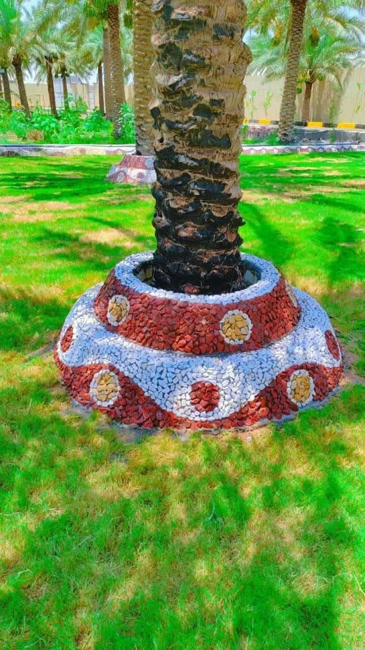 السلام عليكم ورحمة الله وبركاته مستعدين لي كافة التصاميم الحدائق والديكور وزراعة الثيل والورود ودفن التربه لتصميم كافت المنازل  ودوائر الدوله تواصل خاص او وتساب ***********
