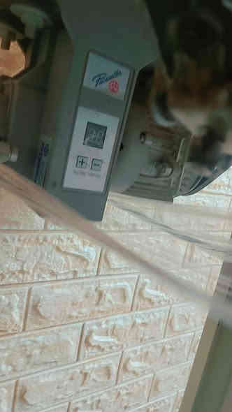 مكينه جمسي الباب الأول نظيفه جدا وماطورها اقتصادي كاتم سعرها ٢٠٠ ألف
و مكينه واوفر منزلي نوع برذر سعرها ١٥٠ مكاني حي اور 
للإستفسار على الرقم ***********
