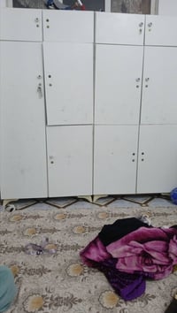 كنتور نجارة • مقسم • حجم كبير