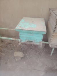 ٣ خلايا نحل • ١٠ اطارات • السلمان