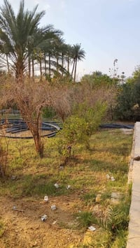 الصياحية قرب كوين بارك • ٢ دونم • دار