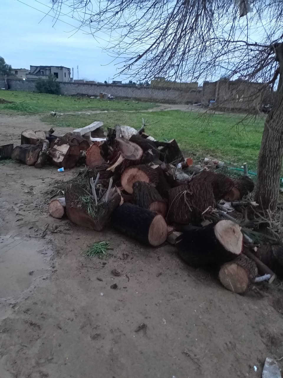 السلام عليكم
يوجد خشب 
للبيع اتصل وتدلل 
***********
