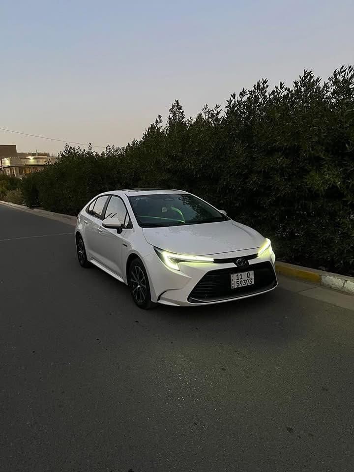 سلام عليكم كورلا هايبرد ماشي 31000 وقابل للزياده￼
سنة الصنع ٢٠٢٤
المواصفات 
اوتو ￼هولد
مودات قياده ٣ 
هند بريك بصمه 
تركشن￼
شاشه كار بلي
تحديد مسار 
كروز سرعه 
بصمه 
لايت عدسه اوتو
٢ قطعه تبريد 
￼كشن كهرباء￼
٢ منفذ شحن 
سلايد روف
داخل جلد مشمشي 
المكان بغداد رقم ***********
السعر143 ورقه وبيها مجال
