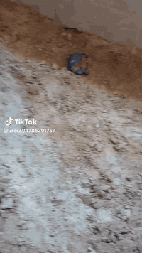 السلام عليكم لباخ متفرغ حالين لبخ سمنت جص بروك للاستفسار أكثر اتصل ***********
