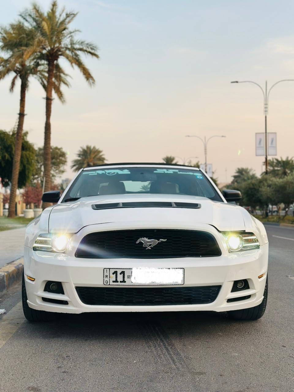 السلام عليكم اخوان
موستنك 2013بريميوم 
كير اوتو
ماشيه 73
فول مواصفات
داخل لون ابيض 
كشنات جلد
كشن كهرباء
دشبول 7 الوان
دشبول المنيوم
شاشه 
كامره 
عليه بنيد GT
عليه سبويلر GT
ويل 20 تو سايز
 رقم بغداد تحويل مباشر هزه جديده 
اخوان سياره بيه قطعتين صبغ وقطعه بنيد تحديث GT
لغود شواصي مكفوله 
 وعندي سونار بيه هم 
السعر 105 وبيه مجال
 ماعتقد اكو هيج نضافه بهيج سعر 
مكان السياره المنصور 14 رمضان
للاستفسار ( ***********)
