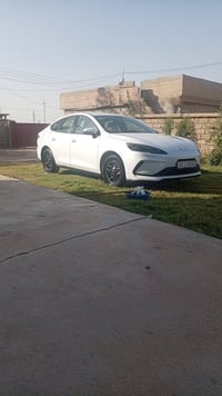 بي واي دي سيل 5 • ٢٠٢٥ • ٩٠٠٠ كم