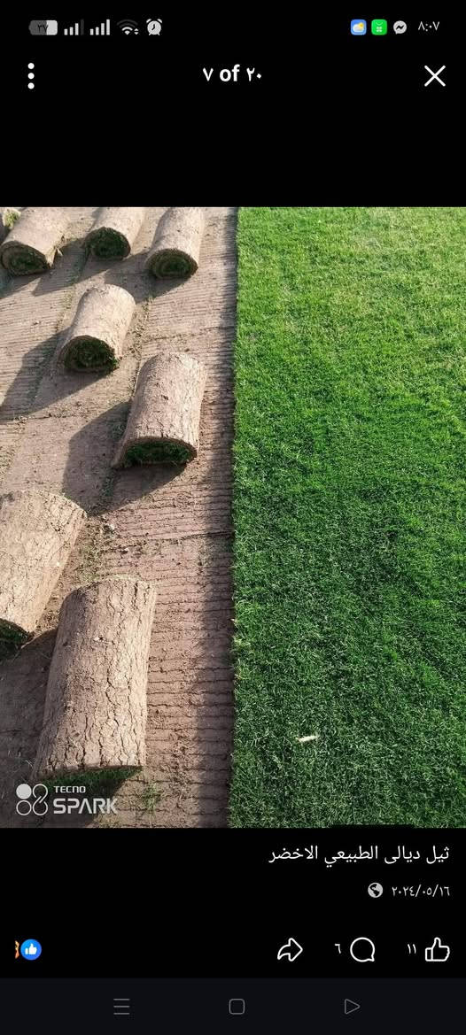 يوجد انواع ثيل الطبيعي اتصل ودلل.


**إذا كنت صاحب هذا الإعلان وتريد حذفه لأي سبب، رجاءا أرسل رسالة إلى الدعم الفني**