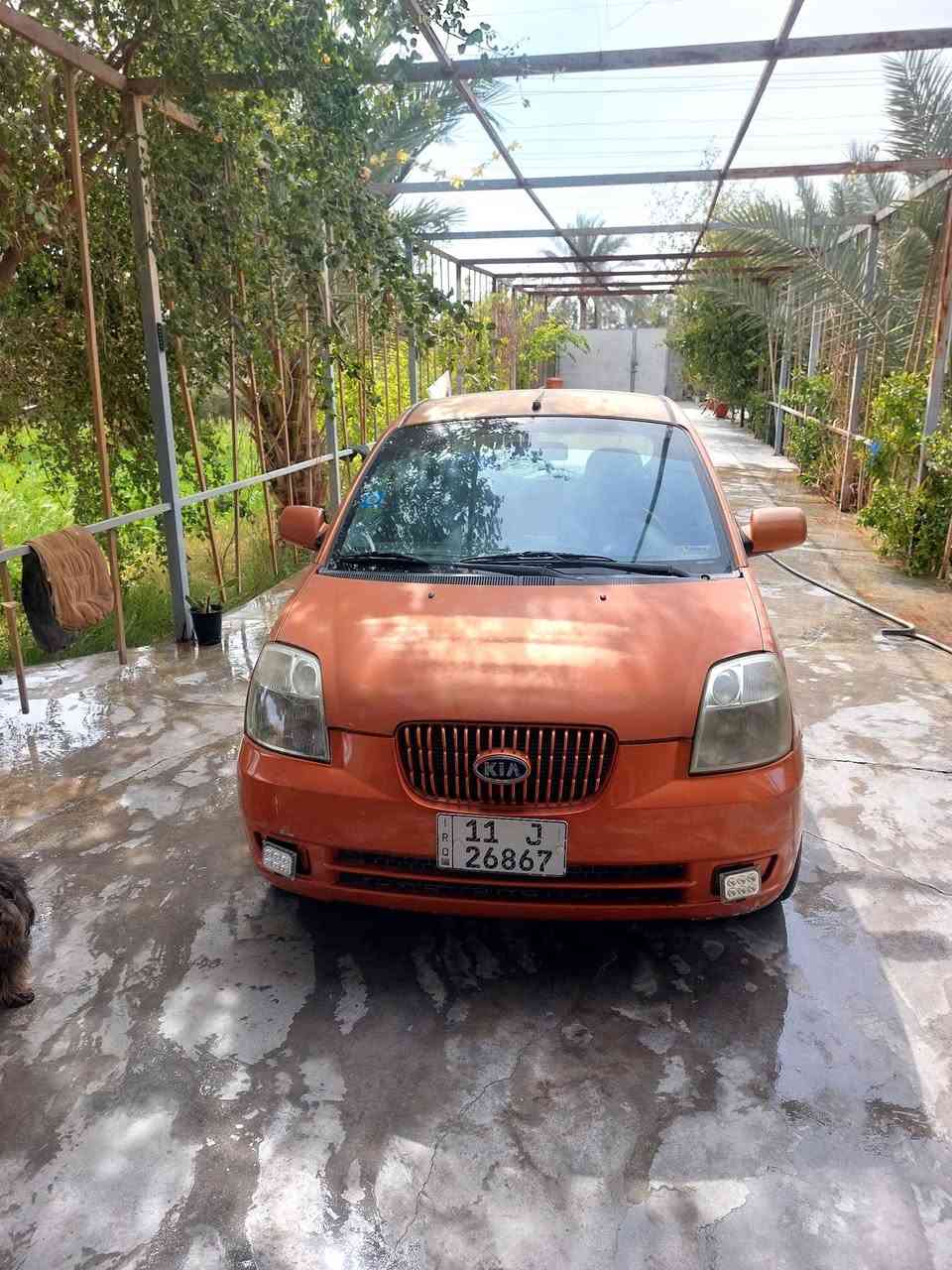 سلام عليكم
بيكانتو موديل 2008
تبريد  حداديه  السياره جاهزه مال بيت 
رقم انكليزي بغداد  مداور ثاني يوم 
بيه  مكانات جراد ابيع هل موجود بدون ضربه قويه بدون كلبه بدون دواخل  السعر 55 وبيه مجال مكان السياره بابل قرب سيطره الاثار 
للستفسار ***********
