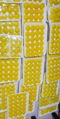 تجهيز مناسبات • كبه 30قطعة • توصيل مجاني