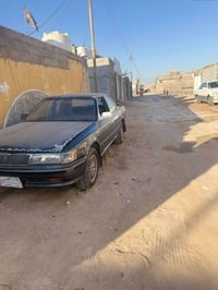 شيزر كصيف • ١٩٩١ • رقم البصرة