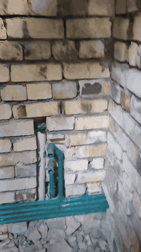 خدمات • ديوانية فقط