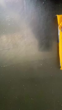 واسط الزبيدية • عرض اليوم • توصيل متوفر