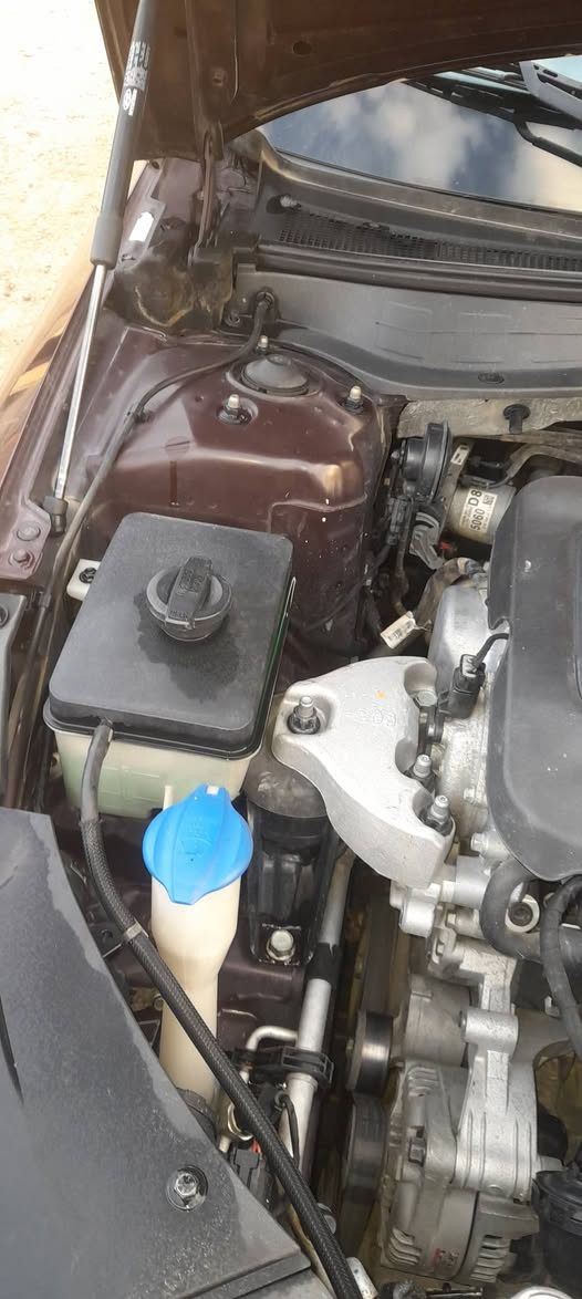 كيه ابتمه موديل ١٨ لون كرزي ماروني للبيع بئسمي رقم شمالي دهوك تحويل مباشر السعر ١٢٥ وبيهه مجال الضرر قبق جنطه وعافيه بدون دواخل عنوان بغداد ابو غريب رقم الهاتف ***********
