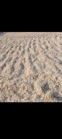 نشاره • درجه اولى • واسط