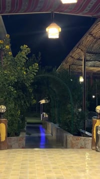 مزرعة النخيل الثانية vip  ، للحجز والاستفسار مراسلة الصفحة او الاتصال ...