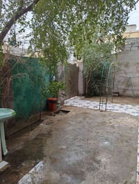 السريدات القديمة المربع الثالث • ١٦٥م • طابق واحد