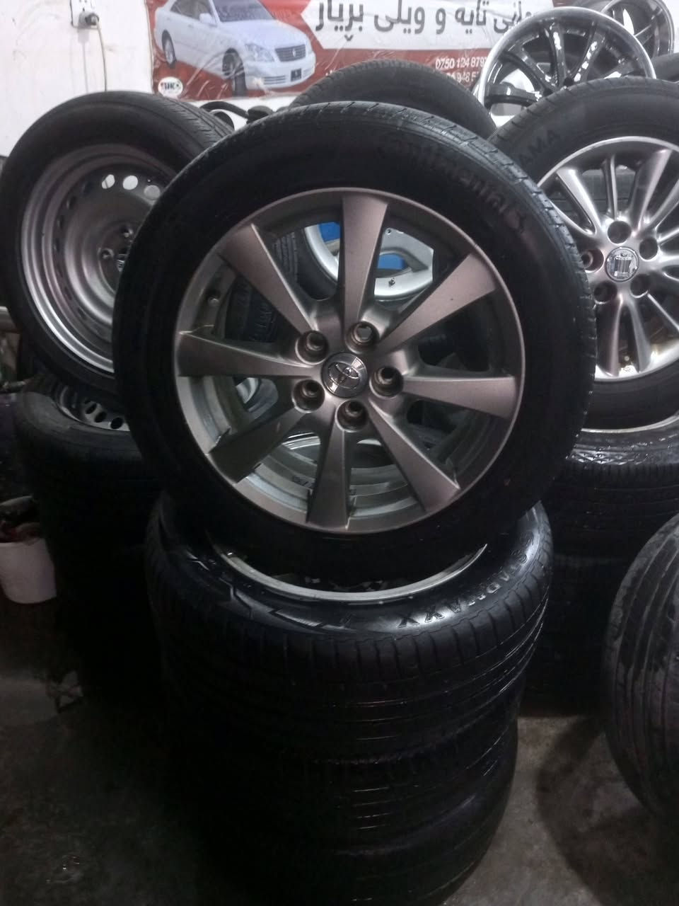 بابەت شاهینە مەلیکە ،بەتاک بەکۆ ،دنگە ،ڕۆیاڵ ،وێڵد ، ستیل، هەیەو سەردانکەن ،شوێن هەڵبجەی تازە ،***********
