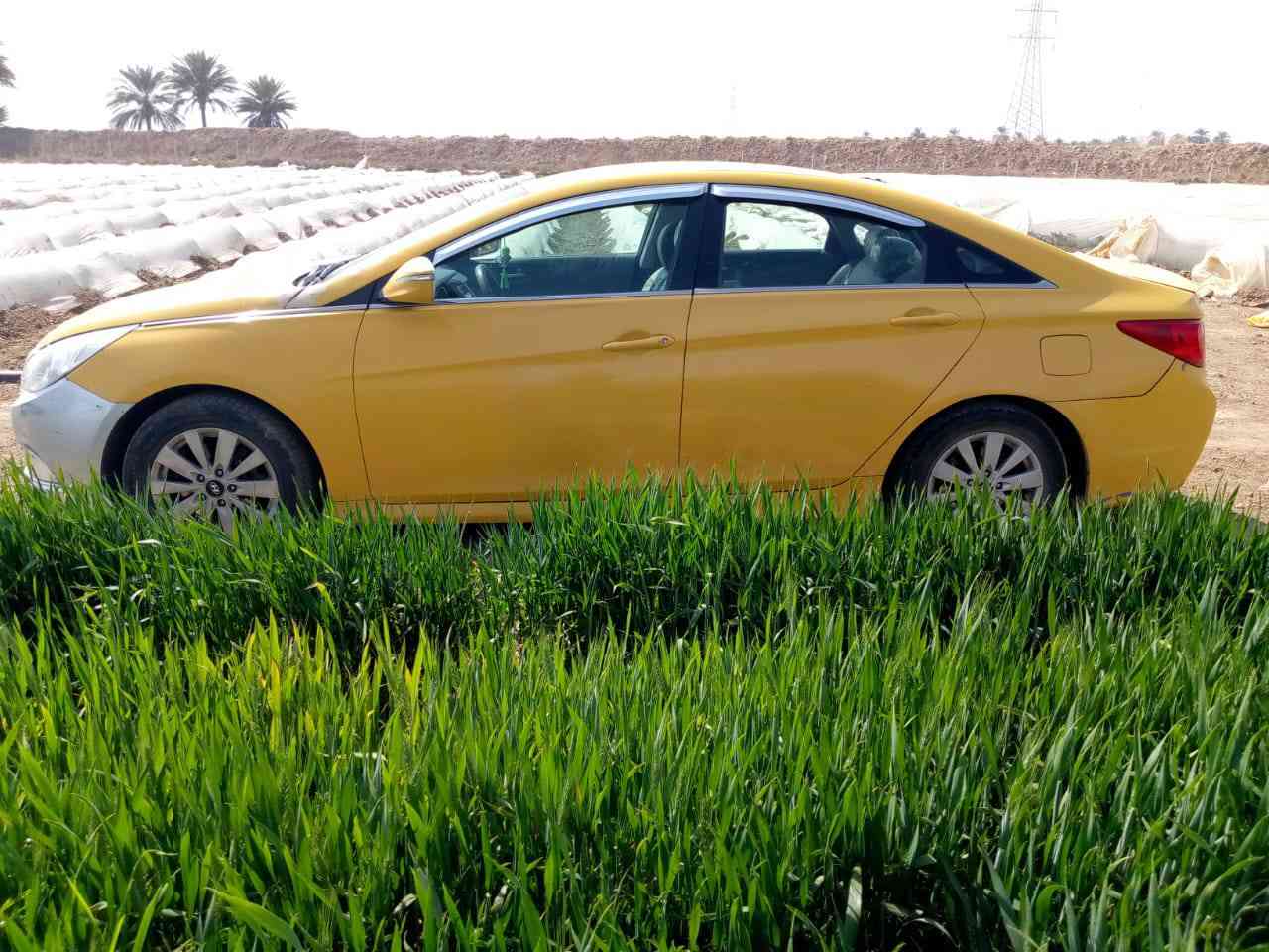 السلام عليكم للبيع سوناتا2014
وارد امريكي كير مكينه كفاله عامه

تخم تاير  صدر حداديه كله جديد

ضررها  قطعه واحده تبديل باب

مكان السياره بغداد ناحيه المشاهده قرب سيطره العبايجي 

سعر السياره $98 وبيها مجال للشراي اي استفسار ثاني اتصل ***********
