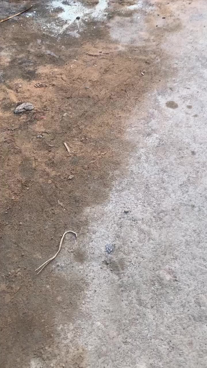 السلام عليكم
دار للبيع في منطقة 24ابوعظام مدخل شارع السودان 
مساحتها 210 متر 
طابو سند 25
متوفر خدمات 
***********
