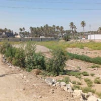 شارع النيل الخدمي • ٥٠٠م • طابو زراعي