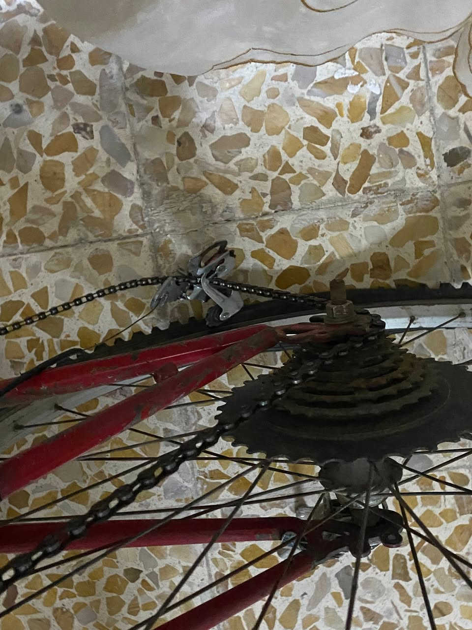 بايسكل للبيع
سعرو 45 

عيبو فقط ما بي جوب ومكينة زنجيل عاطلة


**إذا كنت صاحب هذا الإعلان وتريد حذفه لأي سبب، رجاءا أرسل رسالة إلى الدعم الفني**