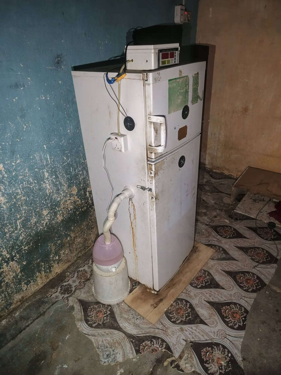 للبيع فقاسه اوتماتيك ثلاجه جاهزه كلشي  شغال تشيل 200بيضه دجاج السعر خاص


**إذا كنت صاحب هذا الإعلان وتريد حذفه لأي سبب، رجاءا أرسل رسالة إلى الدعم الفني**