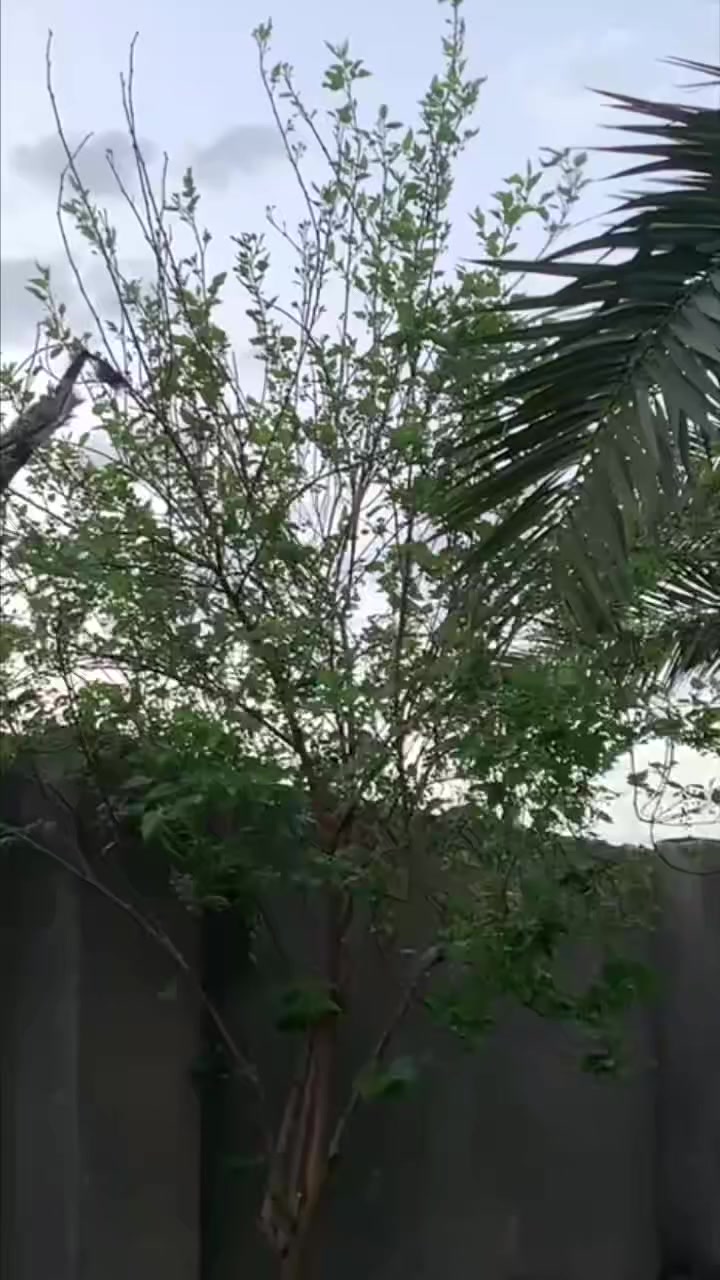 سلام عليكم اربع كير موديل 20 تعمير 25 سعر خاص او تصال عل رقم مكانه كوت كارضيه *********** ‏‪***********‬‏
