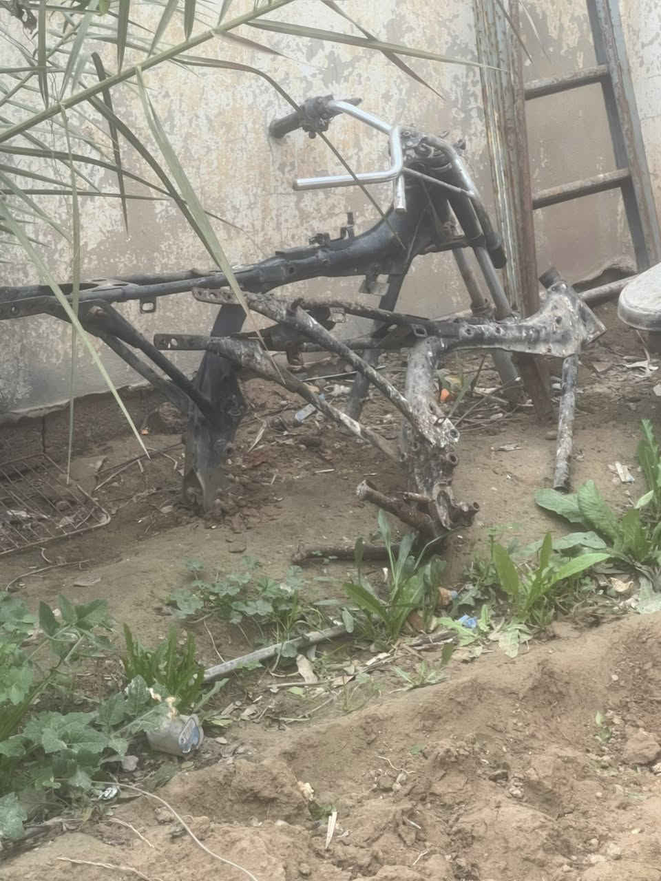 مكاين للبيع نضيفات او شواصي واحد من الشواصي اصولي وياله عدد ثنين بكاني باب الدرب ***********
