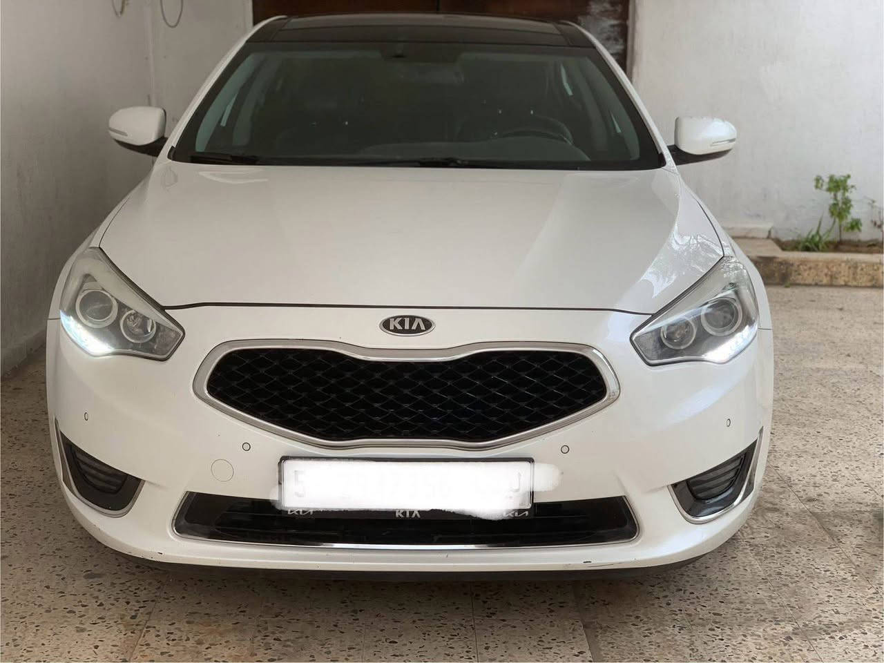 سلام عليكم شباب كيا كاتنزه 2013 رقم ارربيل الماني فول لخير بصمه بنراما مكينه بانزين ادوات كصه وحده شرط مو كصتين كصه وحده بك للايت لد امامي لد حداديه كارتون مكينه كير جدد تبريد ثلج ويل كب 18 جديده سياره مكانه نجف سعر اتصل وتدلل لا تعلق لا تعلق ***********
