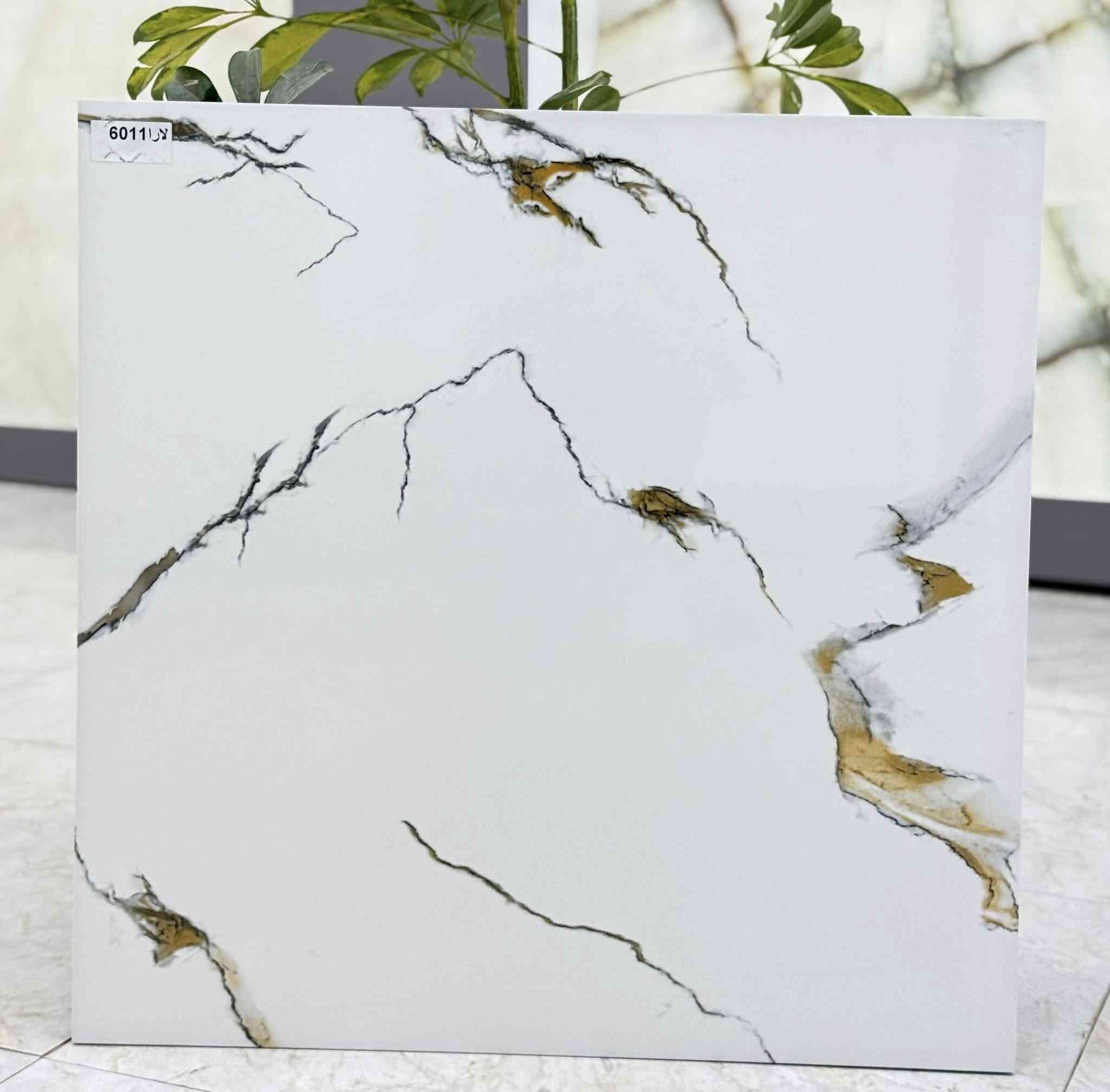 � وصلت بضاعة جديدة ومميزة إلى معرضنا 📢

🔹 أرضيات 45×45 سمك 2سانتيم بجودة عالية وألوان عصرية
🔹 أرضيات 60×60 سمك 14ملم تشكيلة متنوعة ولمعة أنيقة
🔹 سيراميك جدران 30×60 تصاميم حديثة تناسب جميع الأذواق

✅ جودة مضمونة
✅ قياسات دقيقة
✅ أسعار منافسة ومناسبة

زورونا وشاهدوا أحدث الموديلات المتوفرة الآن

#شركة تاج الدين للسيراميك والبورسلين 
ثقتكم هي سر نجاحنا
الموقع الرئيسي :
واسط الحفرية مقابل محطة وقود الحفرية 
الاتصال : 
***********
***********
0771 486 2112
الجملة :
***********
0772 388 2447
0784 589 5436
الفرع الثاني :
بغداد -سريع الغزالية (الخدمي ) مقابل السيطرة
للاتصال :
***********
