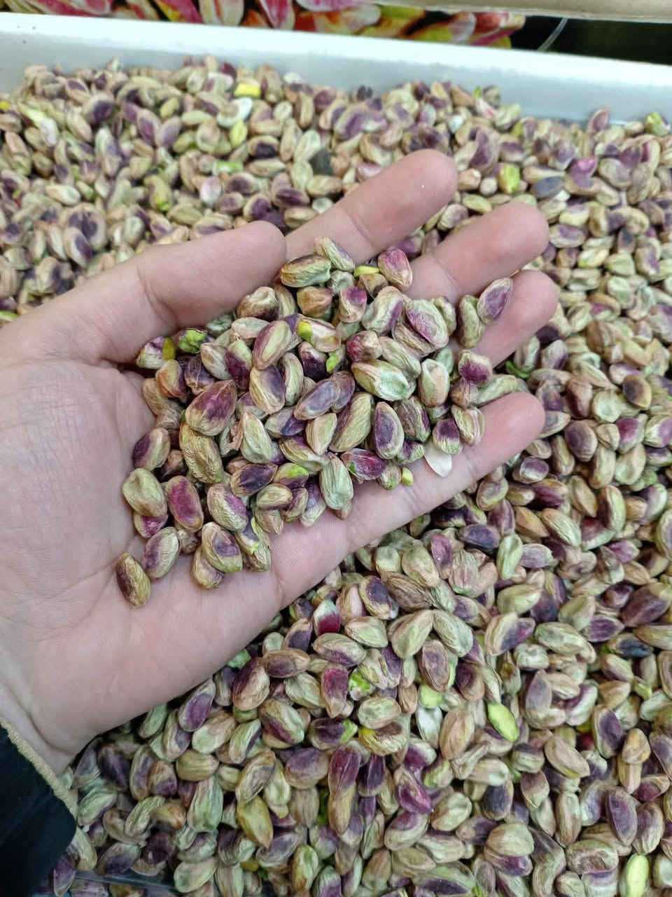 على بركة الله 
وصول 
لوز كامل 
لوز مفلس 
بندق
حب قرع
لب جوز 
فستق حلبي 
مبروش خشن 
يتوفر أسواق غسان للعروض الخاصه 
جملة ومفرد


**إذا كنت صاحب هذا الإعلان وتريد حذفه لأي سبب، رجاءا أرسل رسالة إلى الدعم الفني**