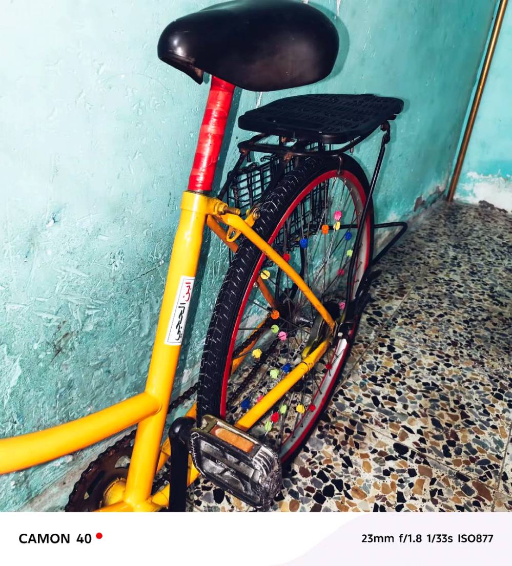 بايسكل 
بناتي حجم 26
لليريد يراوسني باسكل نضيف وبناتي 
تراوس لو بناتي لو جهاز نضيف تكنو 
الذاكرة