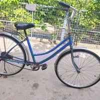 باسكل • فلوجه الجولان