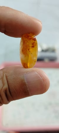 عقيق • الخطوه المباركه • بصرة