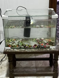 حوض سمك • ماطور • طويريج