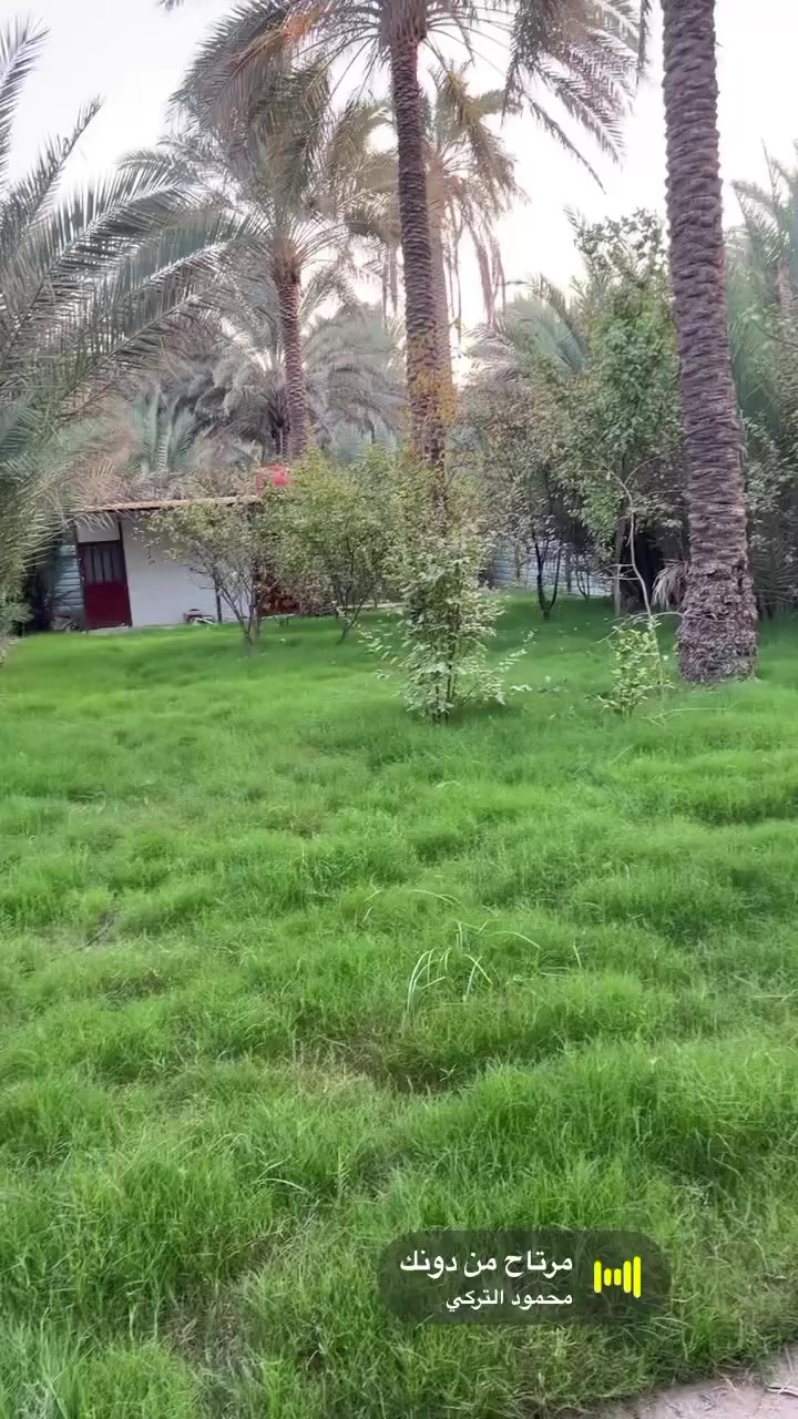 السلام عليكم 500 متر للبيع الوجة 15 ، النزال 33
باقي التفاصيل واضحة بالفيديو اتصال فقط
*********** السعر 65￼ موقع بغداد الراشدية
