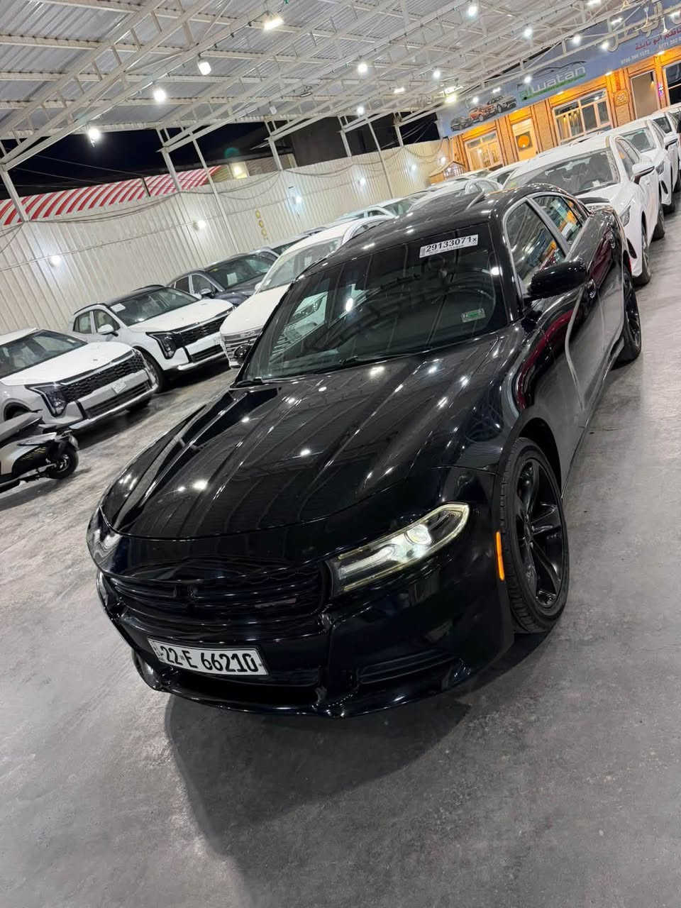 السلام عليكم
جارجر موديل ٢٠١٩ sxt سلايد السياره 
وارد امريكي حادثها بارد فقط جاملغ يمنه وحافه بنيد نفسهن بدون تبديل كفاله من الصبغ 
بدووون ولاايرباك السياره 
رقم اربيل الجديد هزه وفحص كله جديد باسمي تحويل مباشر 
السياره جديده بدون نقص ادامه كامله كفاله كير ومحرك 
مكان السياره بغداد 
للاستفسار *********** 
تحياتي
