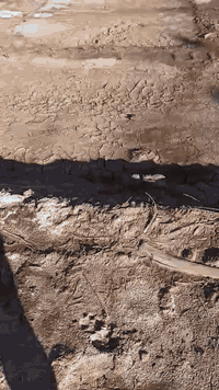 السلام عليكم قطعه طابو زراعي سند 25 مساحة 1250 متر نصف دونم مثل ماموظح بالفيديو أي استفسار اتصال ع رقم ***********  شارع محدول سبيس راح يتبلط
