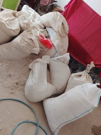 جص • بلاش • ١٢ كونيه