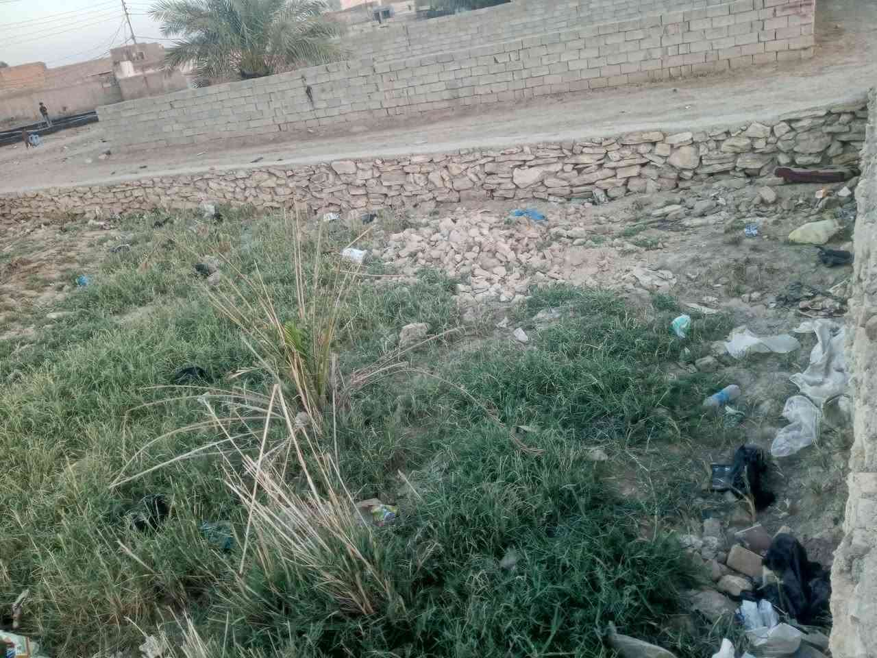 قطعه 100 ركن وجه10 نزال 10  شارع البزل ‏‪***********‬‏ مكتب الفراشه الذهبية حي المهندسين
