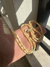 مسباح • صنوبري • ٥٤حبة