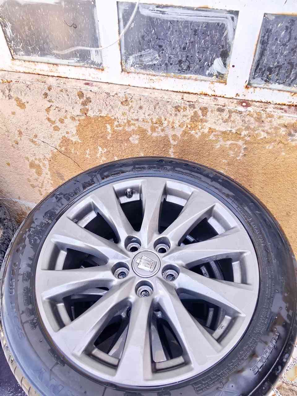سلام عليكم ويل مال ماجسته  تخم كامل هوه وتخم تاير جديد  السعر 325 وبي مجال مكاني ابصره قضاء المدينه ***********
