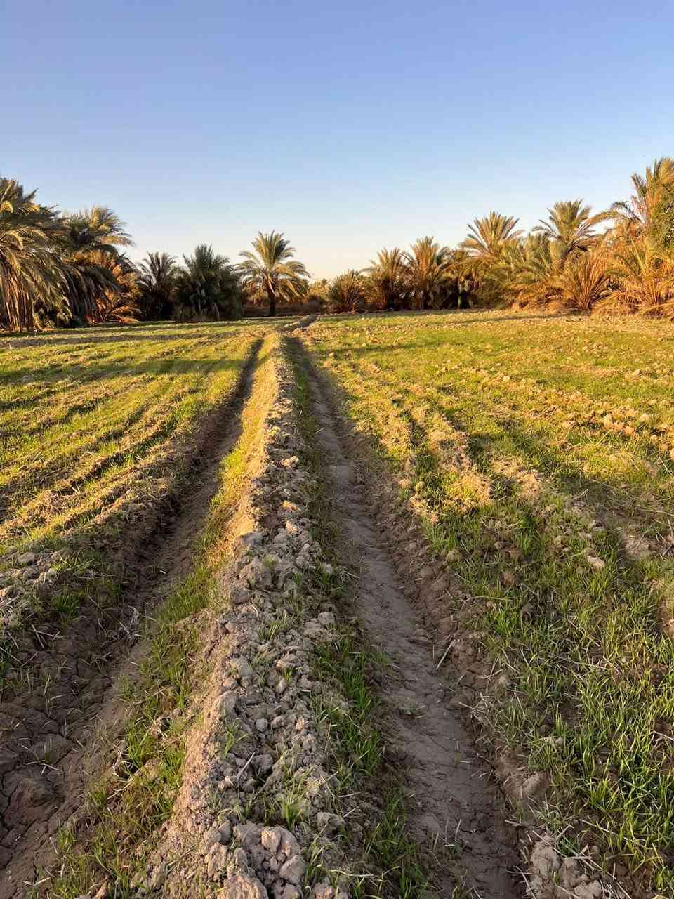 سلام عليكم شاطي للبيع مكان البوريشه متكون من بيت جاهز المساحه 15 دونم سند 25 للاستفسار ***********
