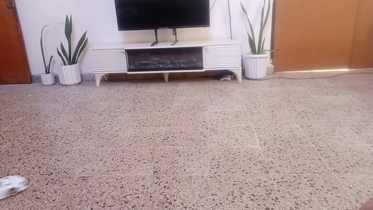 مساء الخير و جمعة مباركة يارب 🌹.. معشوقة الجميع تويوتا سوبرا حجم ١/١٦ عالريموت شحن داخلي شركة جادا الغنية عن التعريف 🫨 كلش نظيفة و سريعة و نشطة مثل ما واضح بالفديو المرفق 🔥 ب٢٠ الف دينار فقط 🤩


**إذا كنت صاحب هذا الإعلان وتريد حذفه لأي سبب، رجاءا أرسل رسالة إلى الدعم الفني**