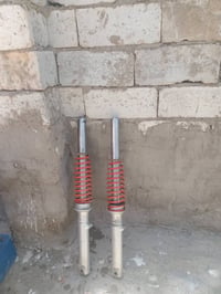 فحل • دبلات • اصليات